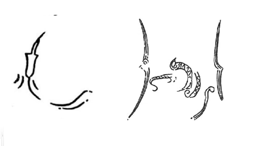 China Earliest Civilizations Kingdoms writing