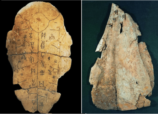 Shang- Oracle shell bone Shang Dynasty Oracle Shell Bone